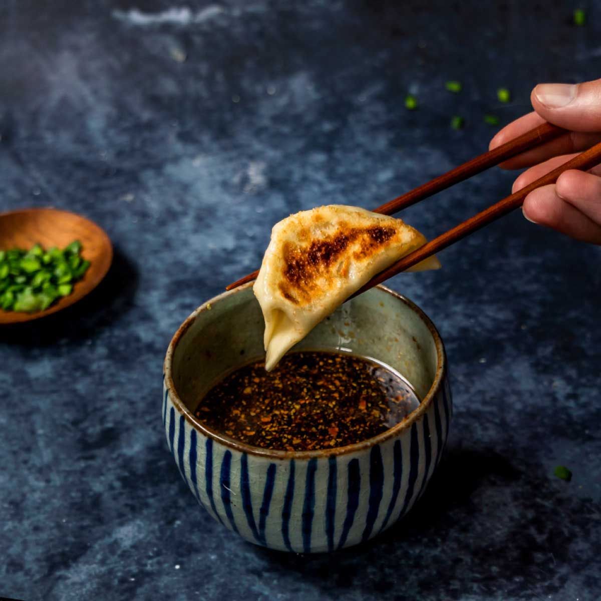 Gyoza de Pollo 30 und