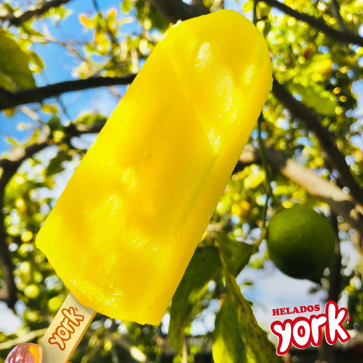 Helado paleta York Limón simple - York